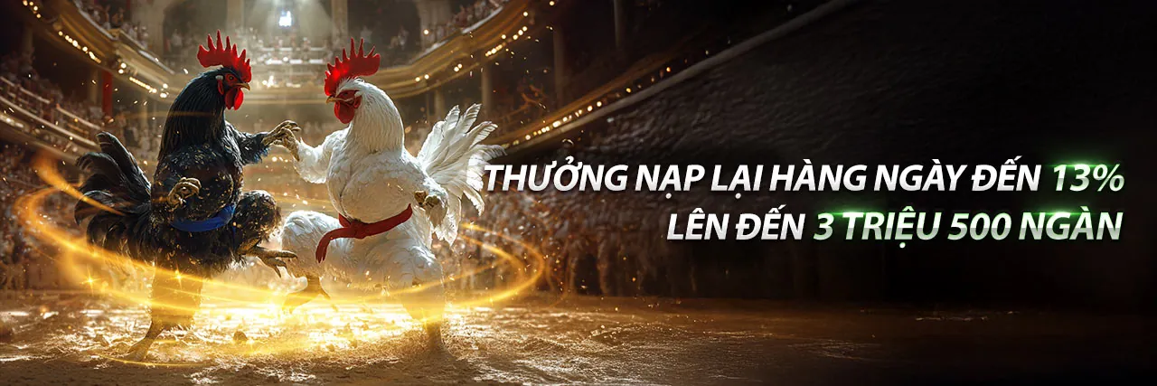 Hình ảnh đại diện cho Điều khoản Dịch vụ của nn88h